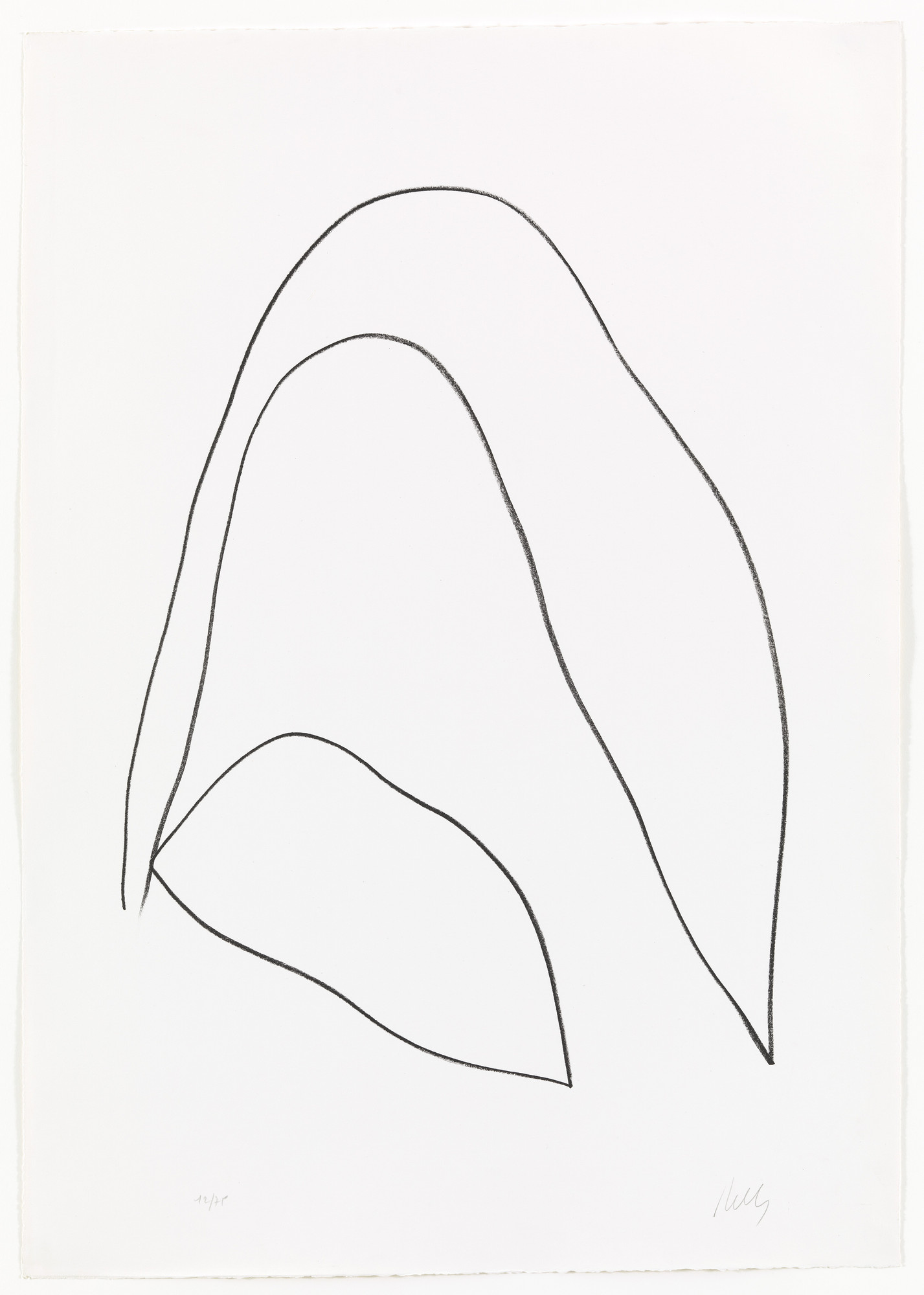 Ellsworth Kelly. Leaves (Feuilles) from Suite of Plant Lithographs