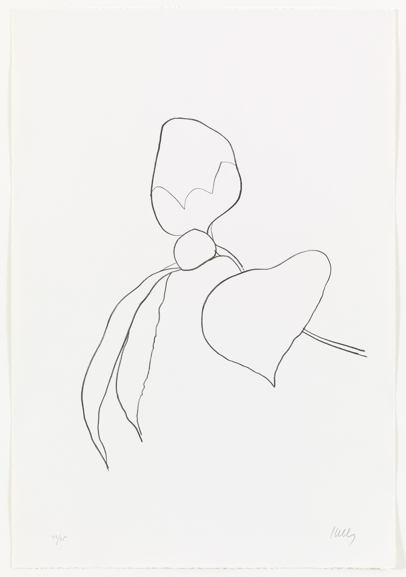 Ellsworth Kelly. Camellia I from Suite of Plant Lithographs. 1964