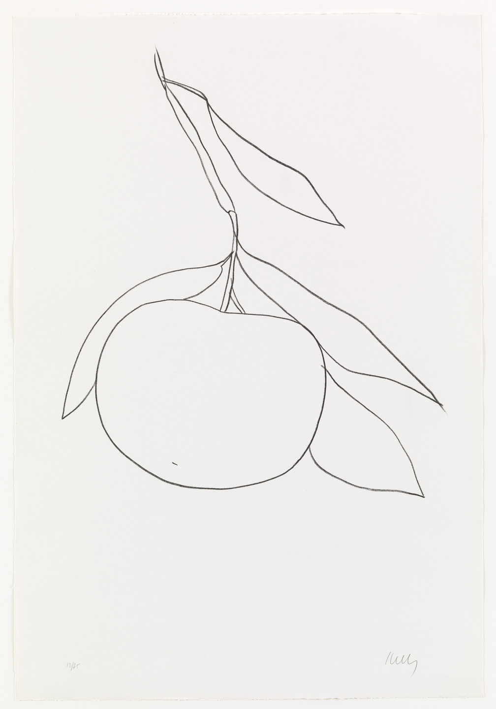 Ellsworth Kelly. Tangerine (Mandarine) from Suite of Plant Lithographs. 1964–65, published 1966