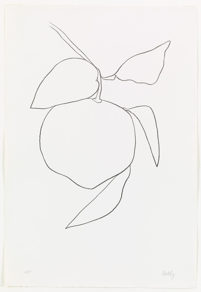 Grapefruit (Pamplemousse) from Suite of Plant Lithographs
