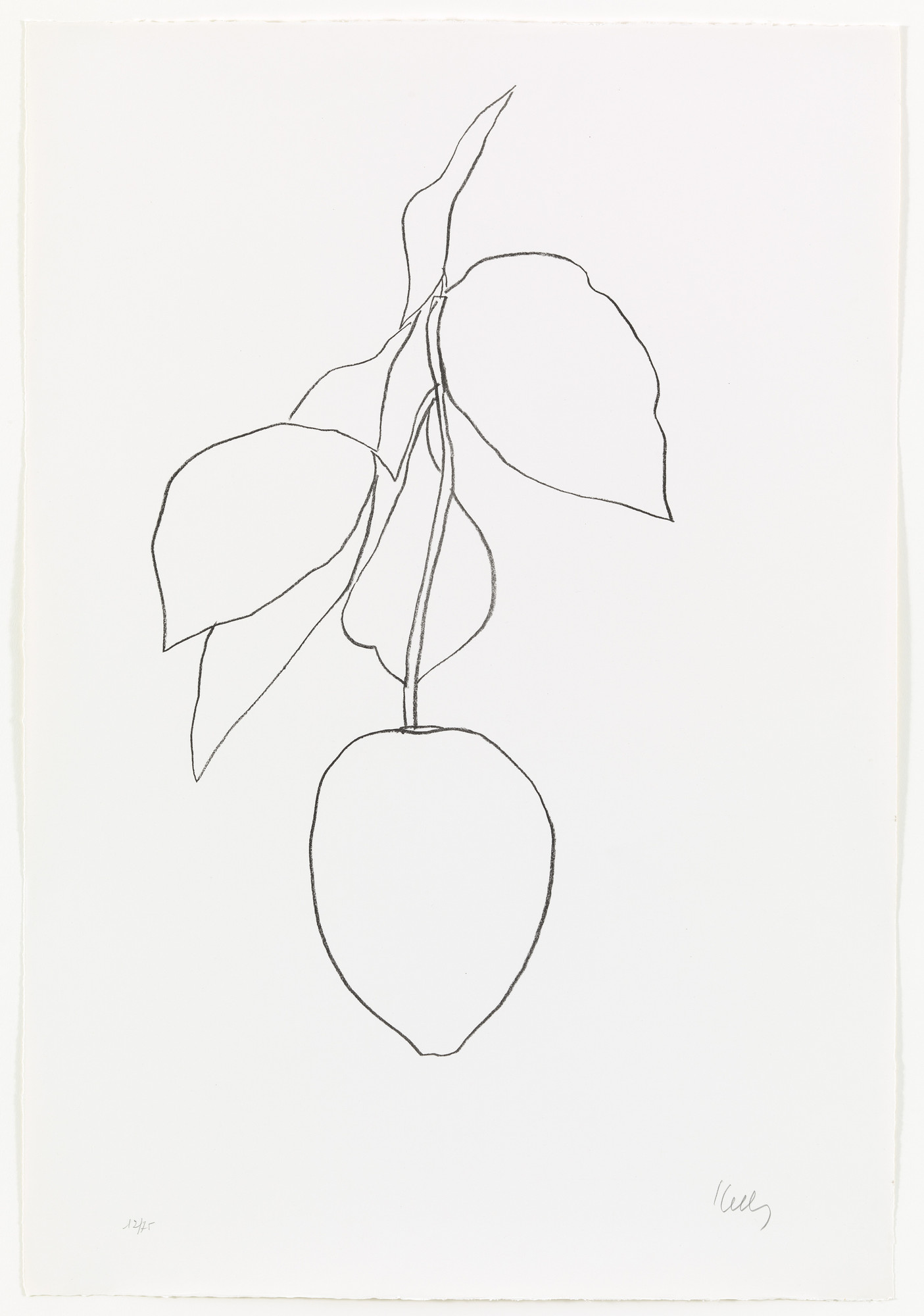 Ellsworth Kelly. Lemon (Citron) from Suite of Plant Lithographs