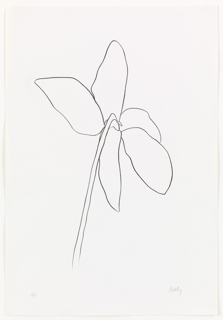 Cyclamen IV from Suite of Plant Lithographs
