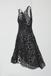 Jessica Rosenkrantz and Jesse Louis-Rosenberg. Kinematics Dress. 2013