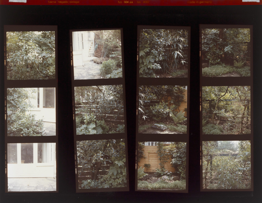 Landscape Panoramas