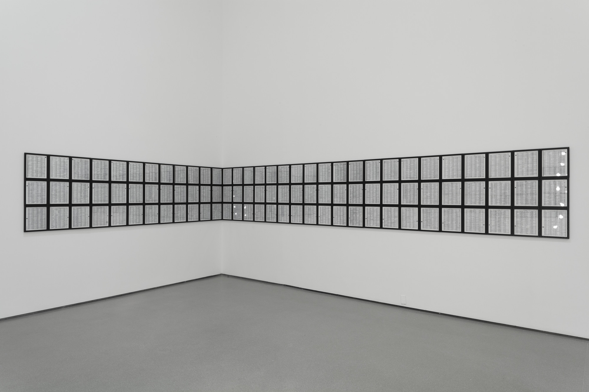 Luis Camnitzer. Memorial. 2009
