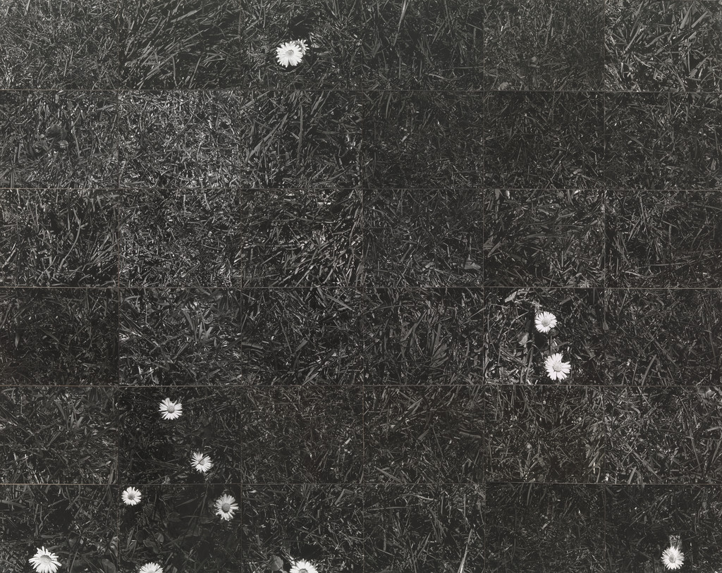 Grass, Lew Thomas, 1973