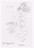 Merce Cunningham. Notes for Roaratorio. 1983
