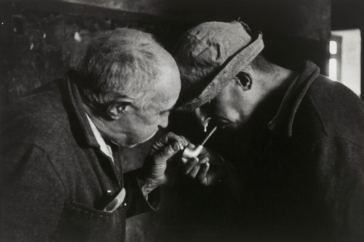 Untitled from the series Humanario