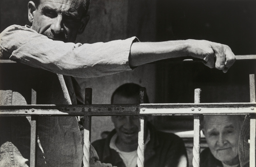 Untitled from the series Humanario