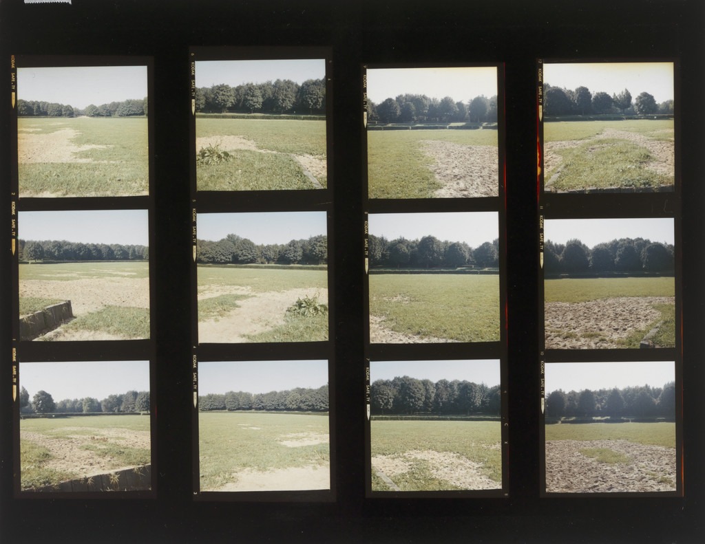 Landscape Panoramas