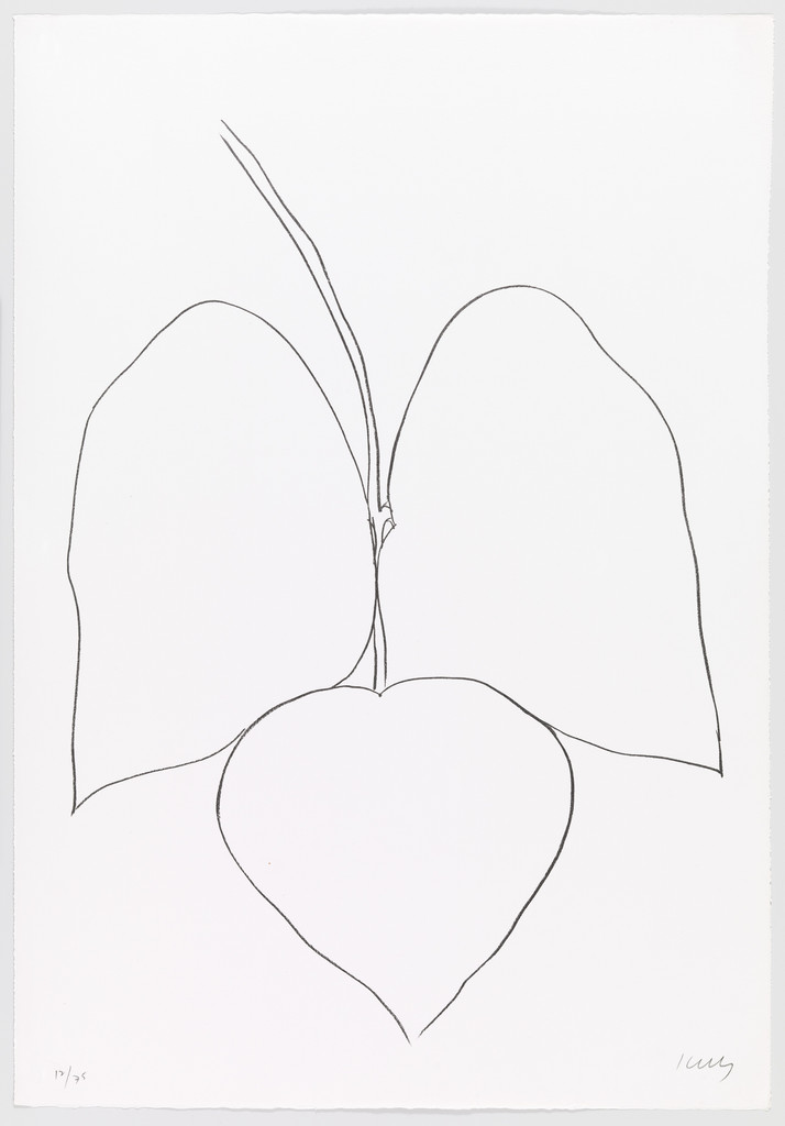 String Bean Leaves I (Haricot Vert I) from Suite of Plant Lithographs
