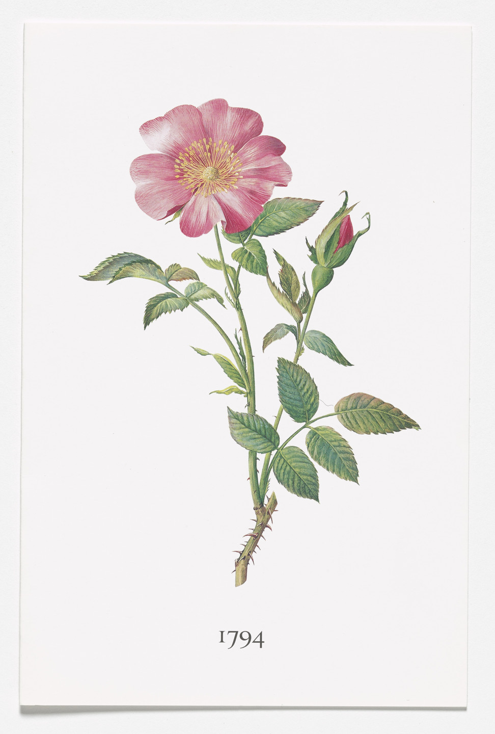 Ian Hamilton Finlay, Gary Hincks. 1794. 1993