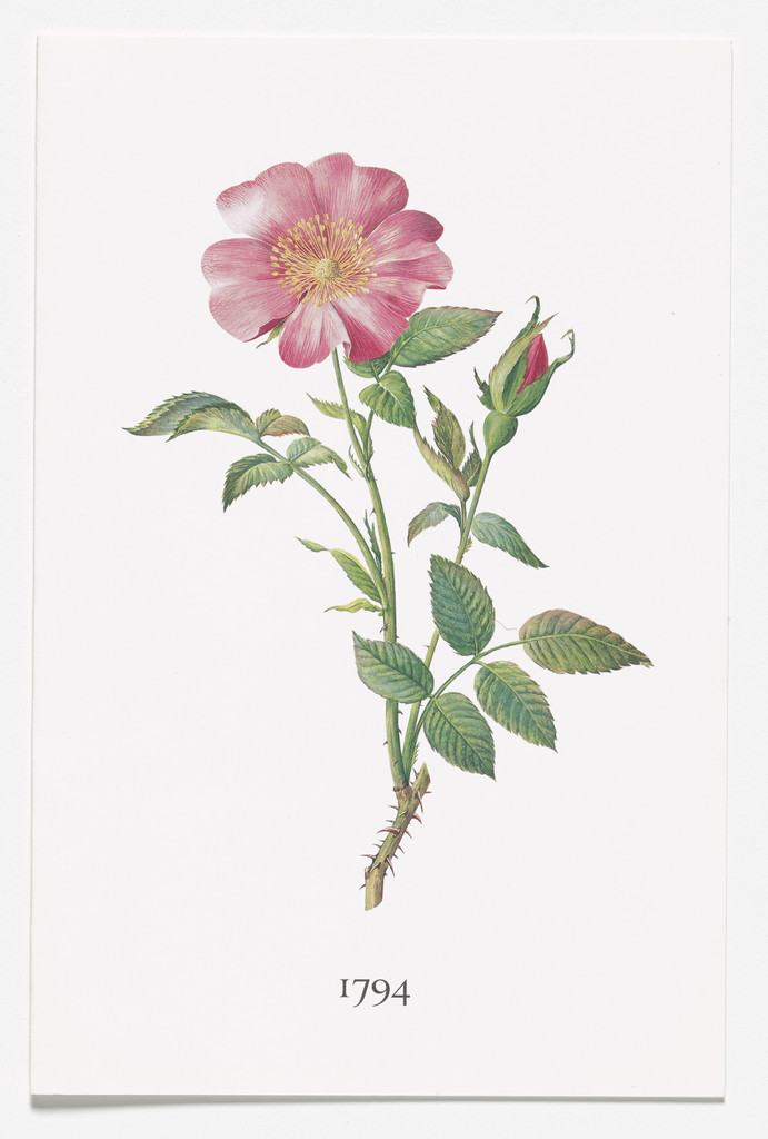 1794