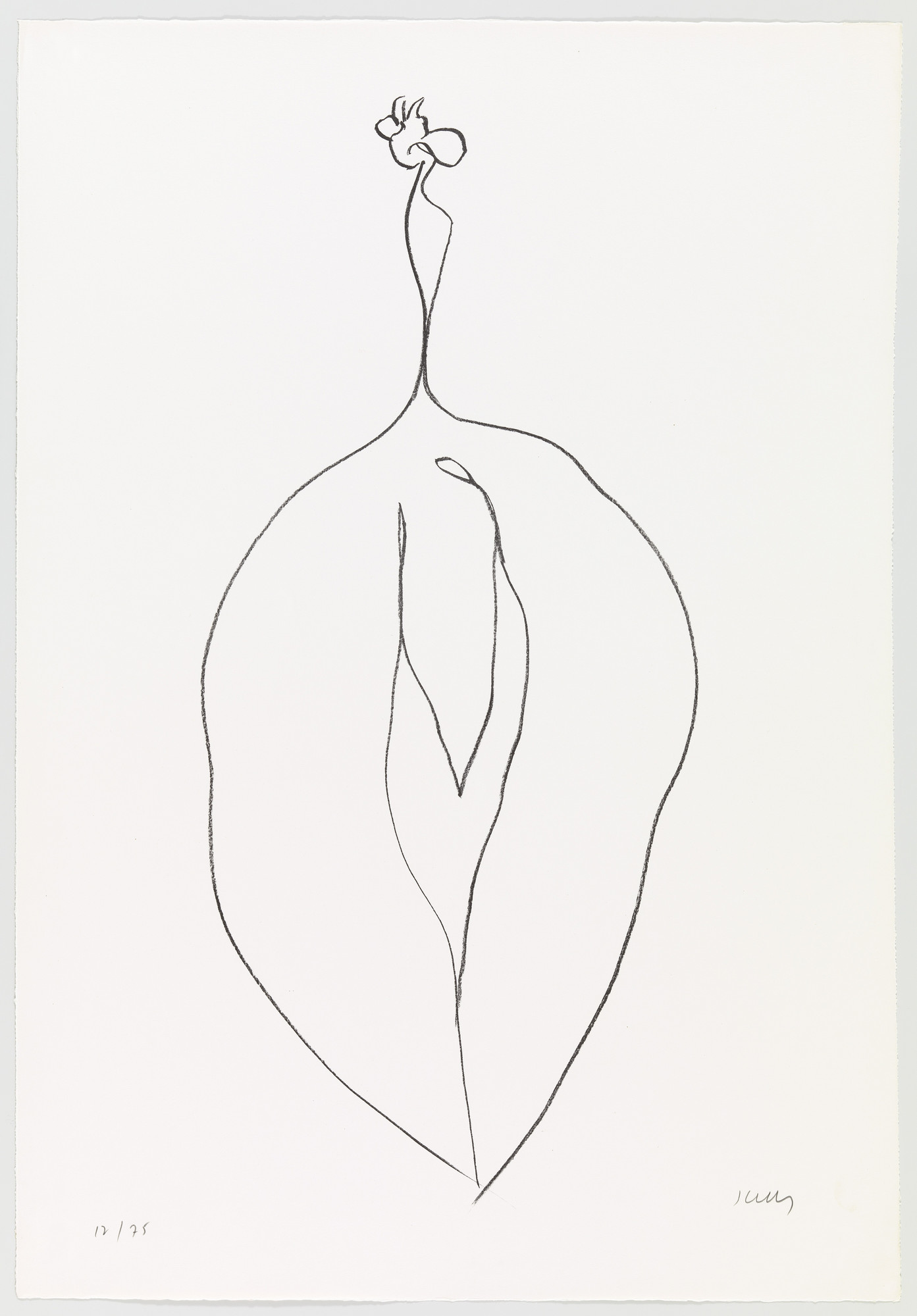 Ellsworth Kelly. Seaweed (Algue) from Suite of Plant Lithographs