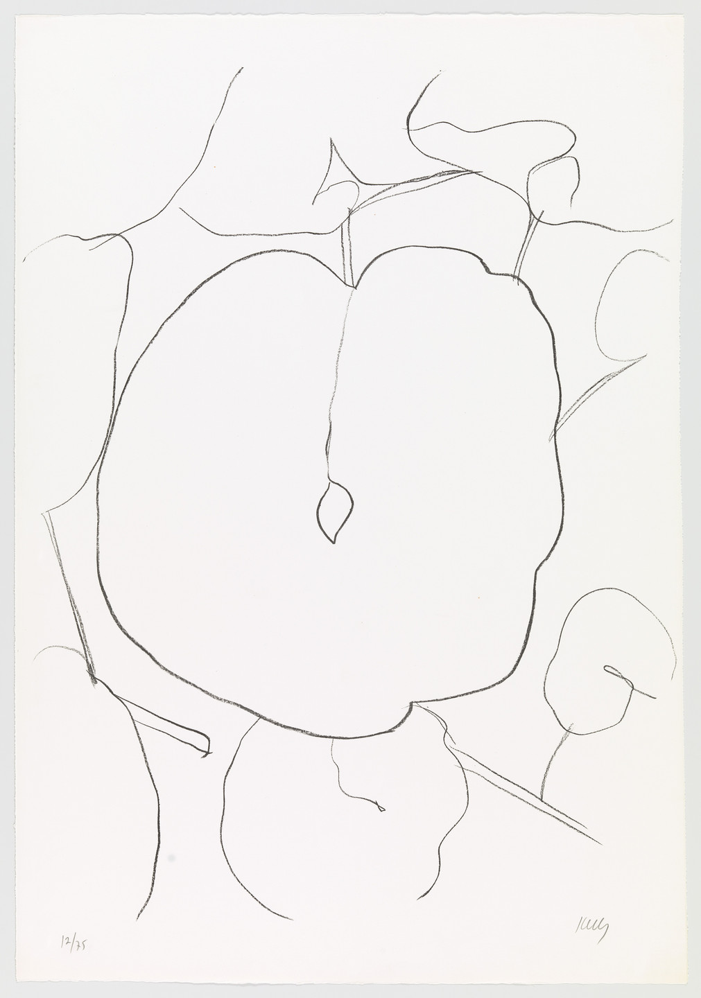 Ellsworth Kelly. Suite of Plant Lithographs. 1964–66, published 1966