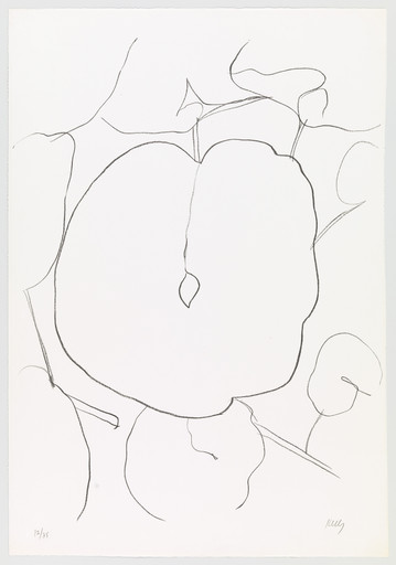 Ellsworth Kelly. Suite of Plant Lithographs. 1964–66, published