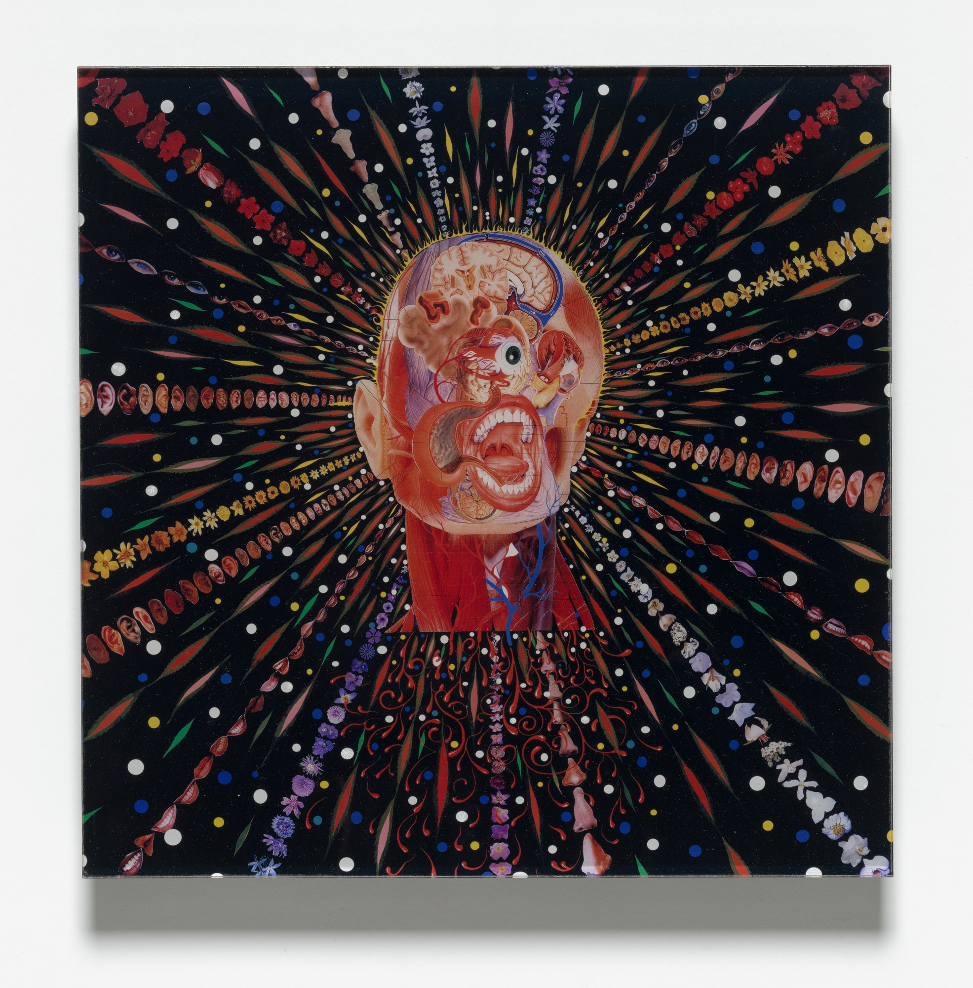 Fred Tomaselli. Cyclopticon for Parkett 67. 2003 | MoMA