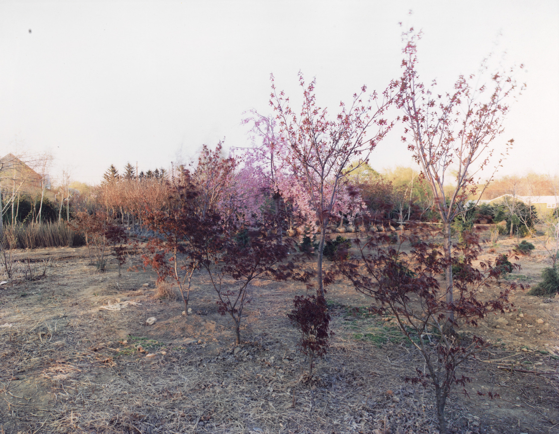 Joe Maloney. Joe Maloney. 1982