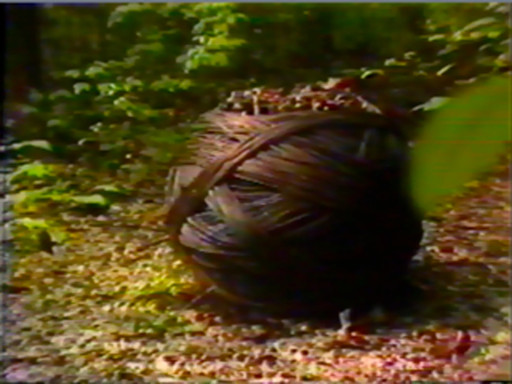 Jackie Winsor: Work in Progress: Part I, II, III
