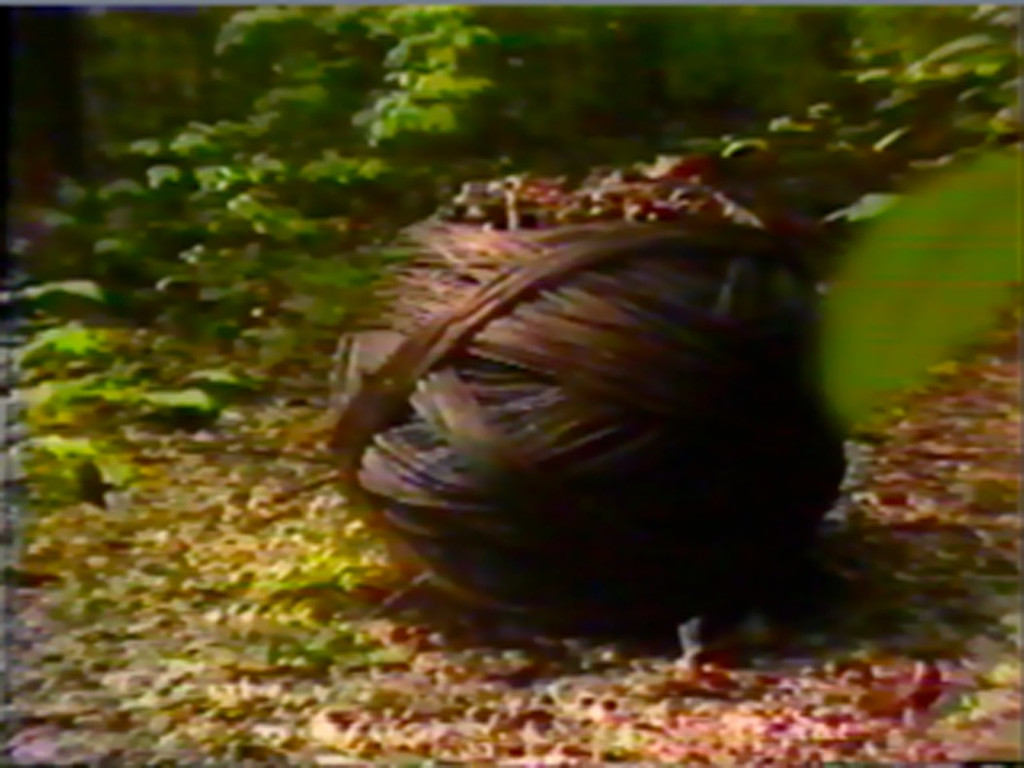 Jackie Winsor: Work in Progress: Part I, II, III