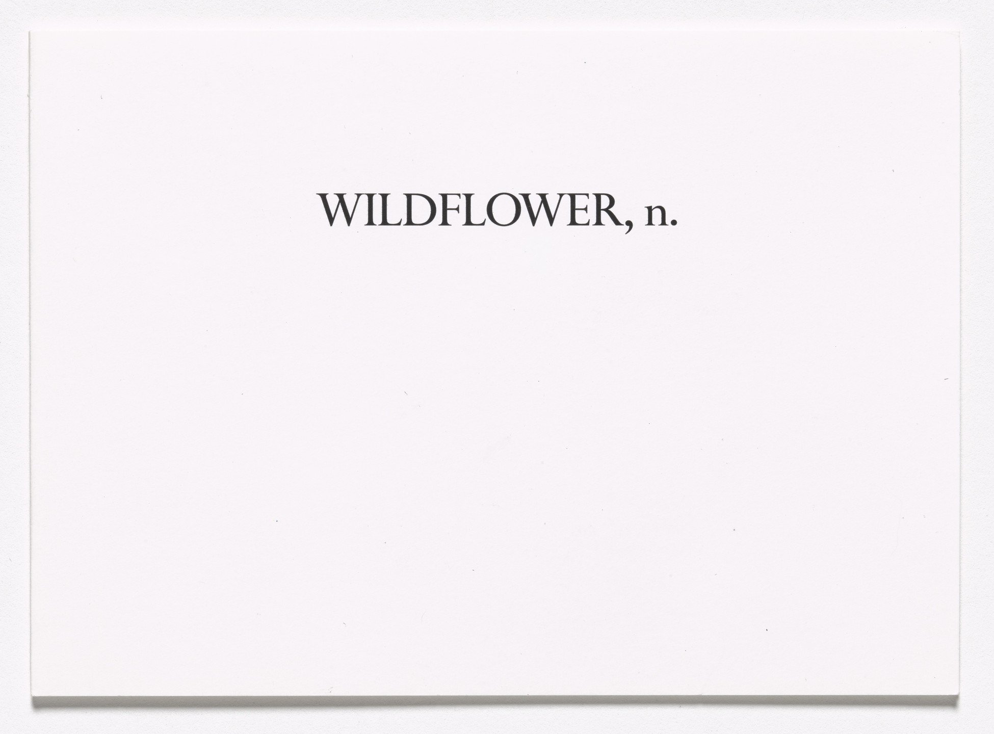 Ian Hamilton Finlay, Gary Hincks. Wildflower, n.. 1992