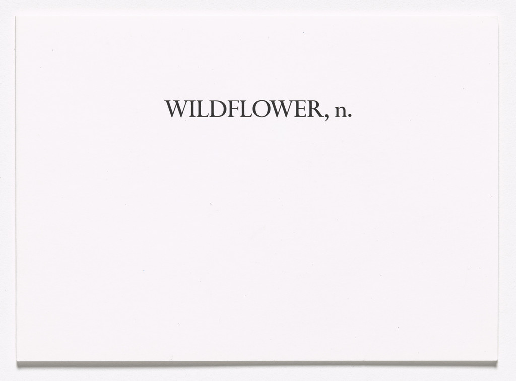 Wildflower, n.