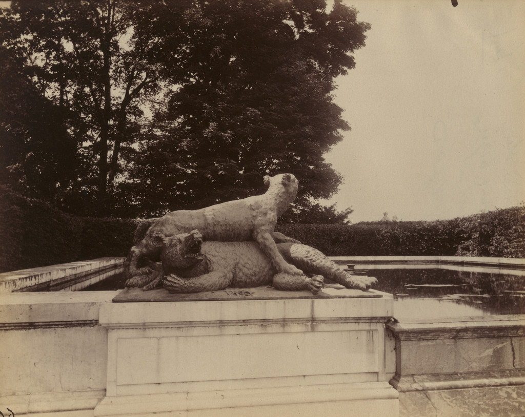 Versailles, Fontaine du Point du Jour, Tigre Terrassant un Ours par Houzeau, Eugène Atget, 1901, Albumen silver print