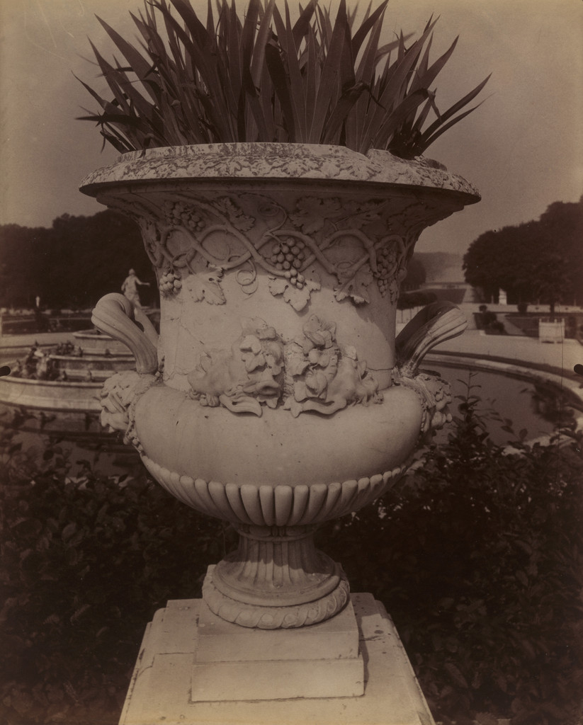 Versailles (Vase)