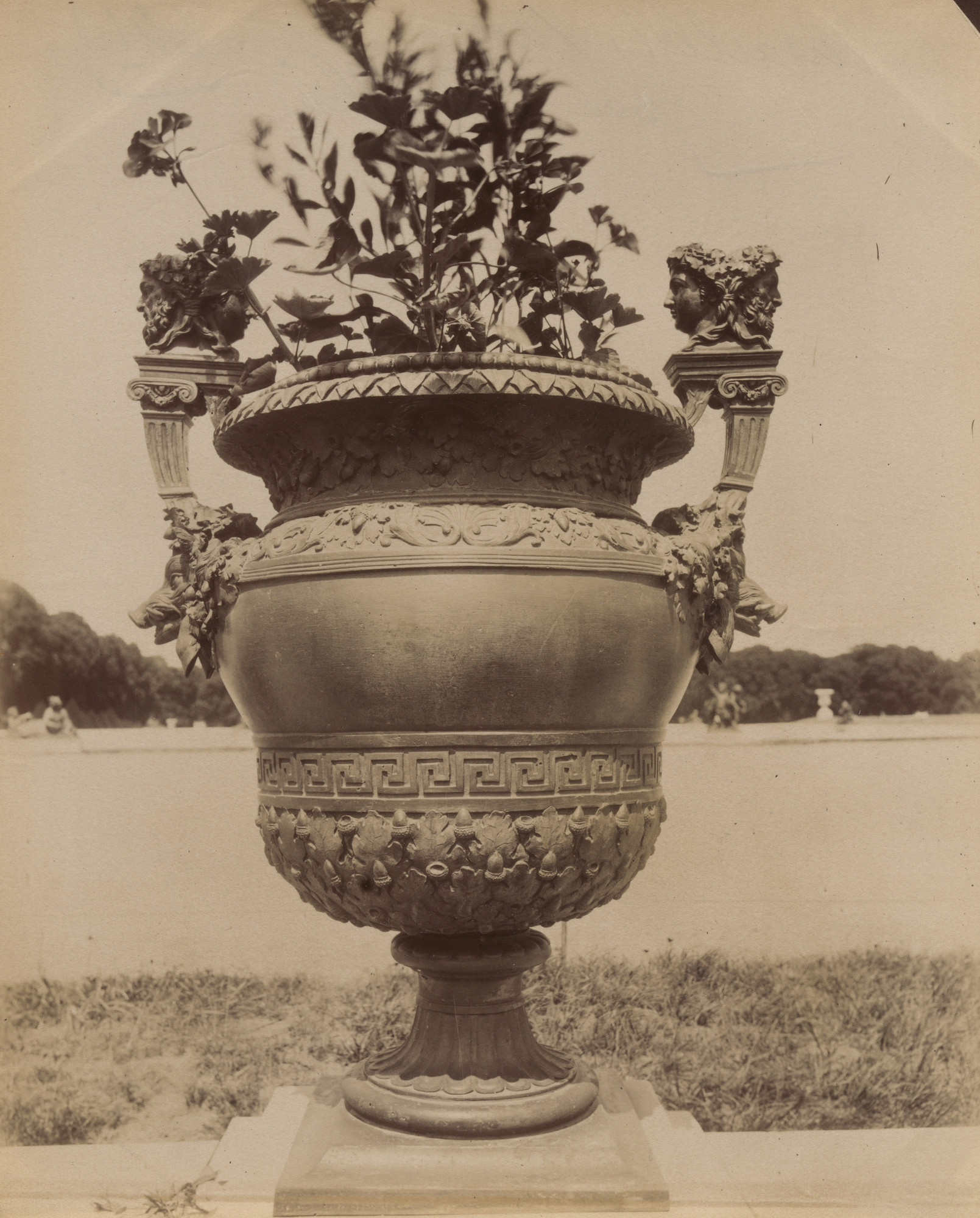 Eugène Atget. Versailles, vase par Ballin