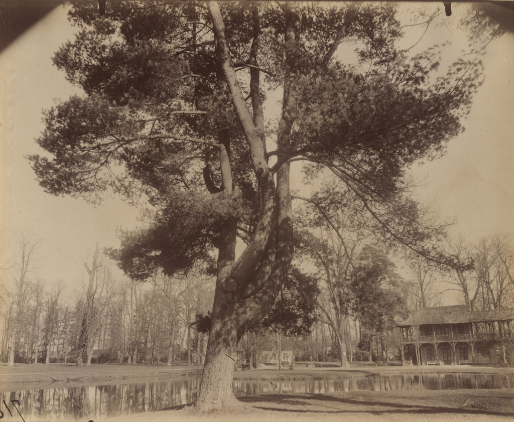 Petit Trianon
