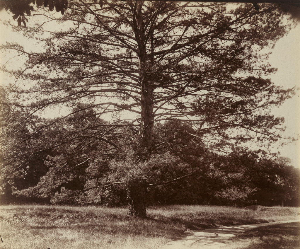 Trianon
