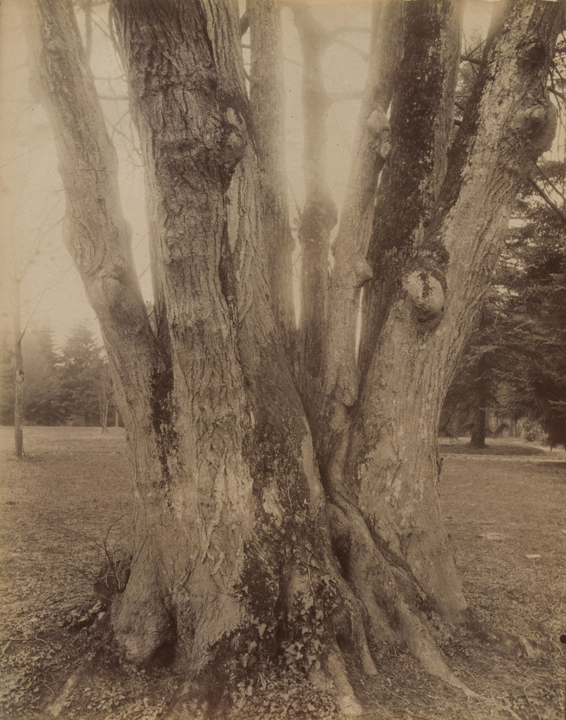 Petit Trianon