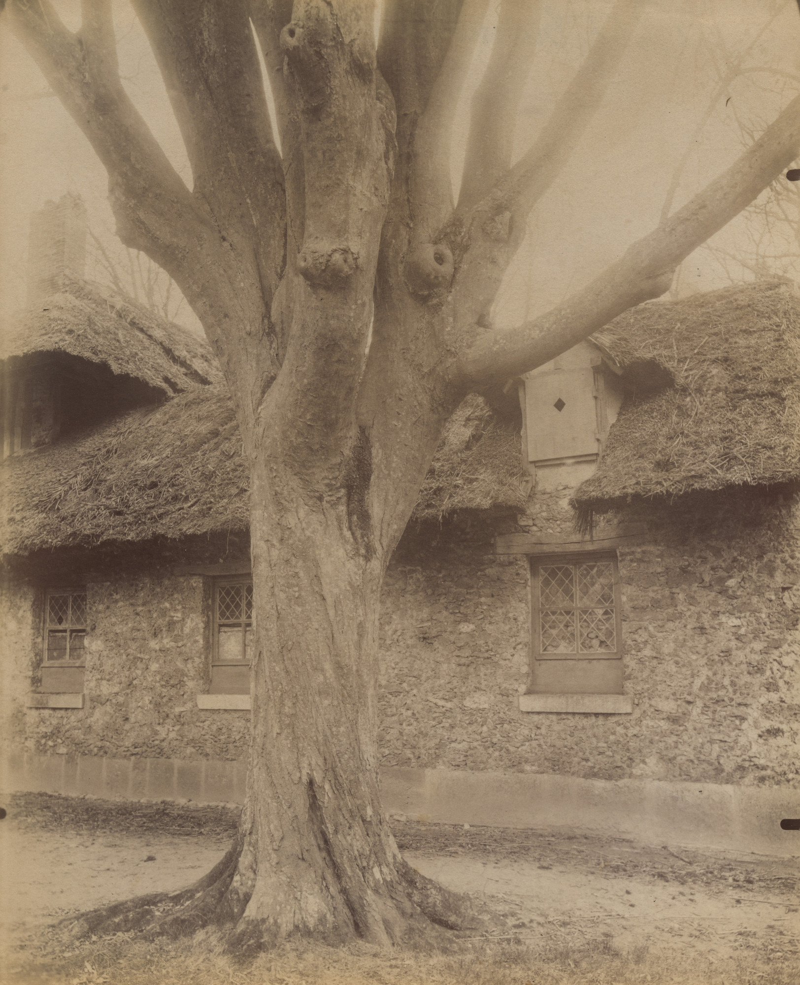 Eugène Atget. Petit Trianon
