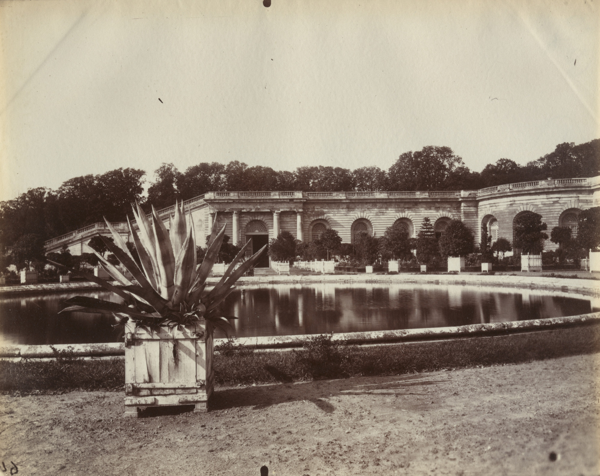 Eugène Atget. Versailles (Orangerie)