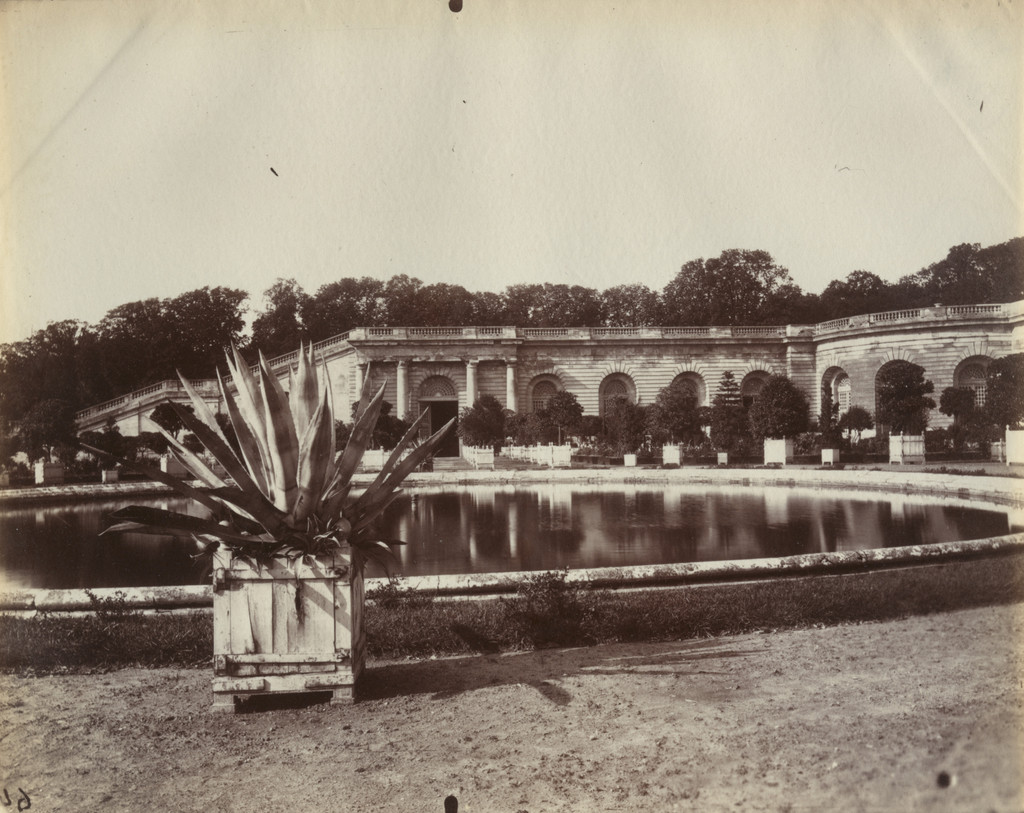 Versailles (Orangerie)