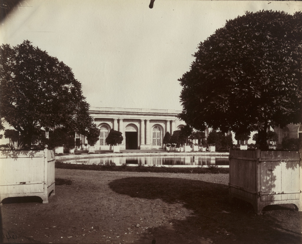 Versailles -- Orangerie, Eugène Atget, 1903, Albumen silver print
