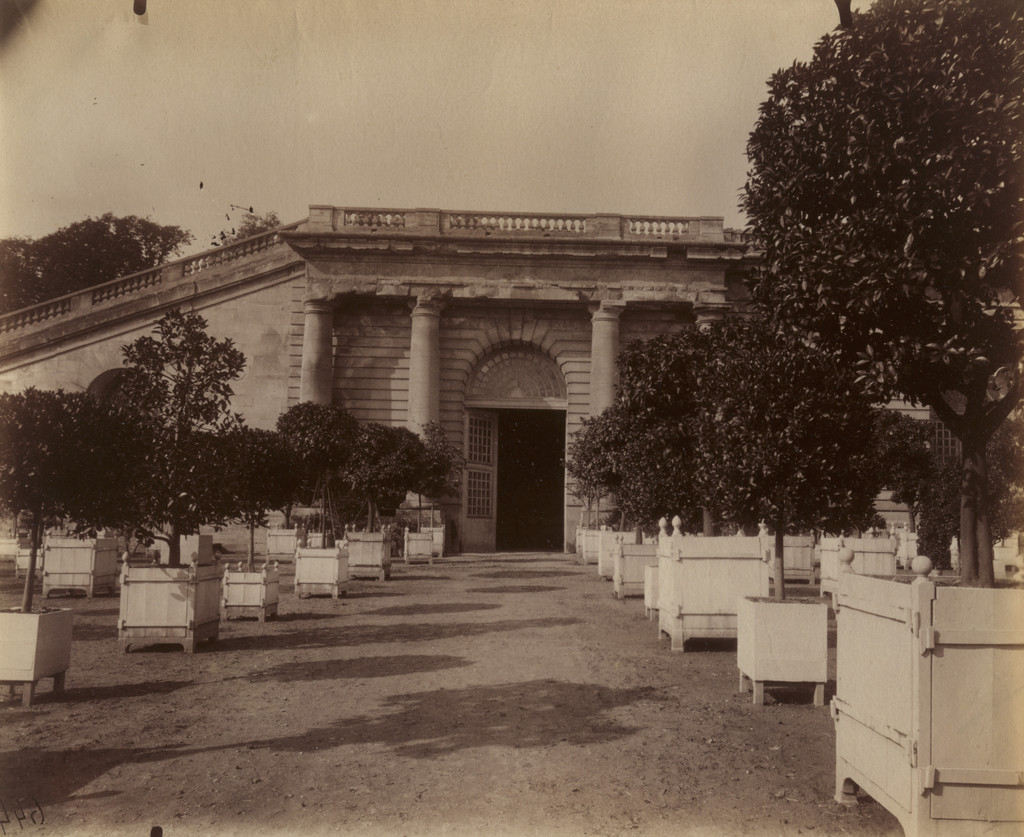 Versailles -- L’Orangerie