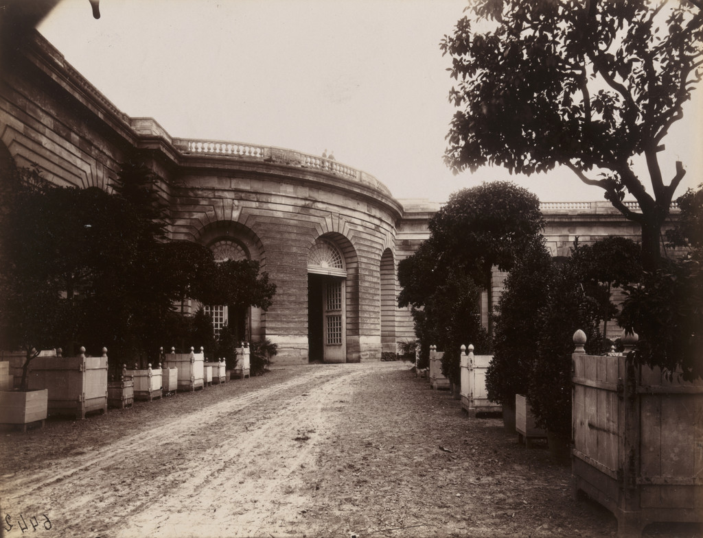 Versailles -- Orangerie