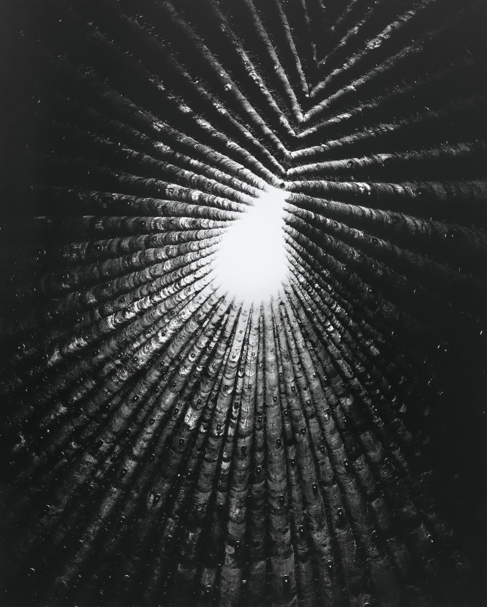 Andreas Schulze - Stau - Berlin – Sprüth Magers