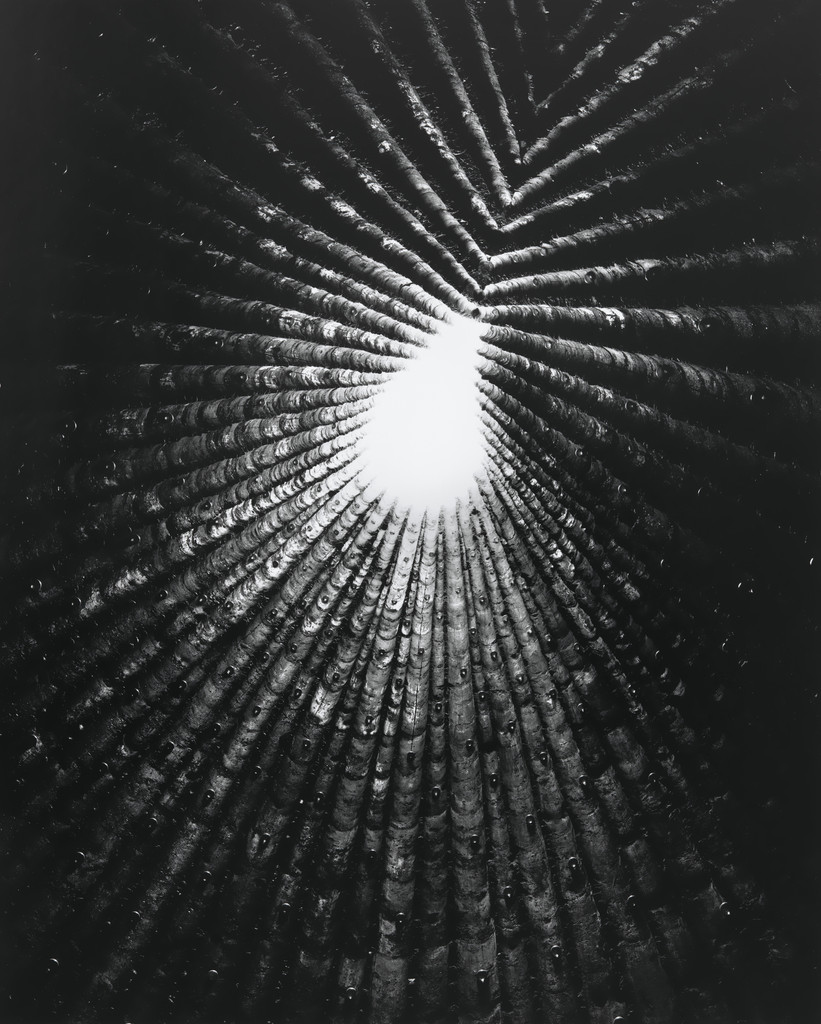 Light