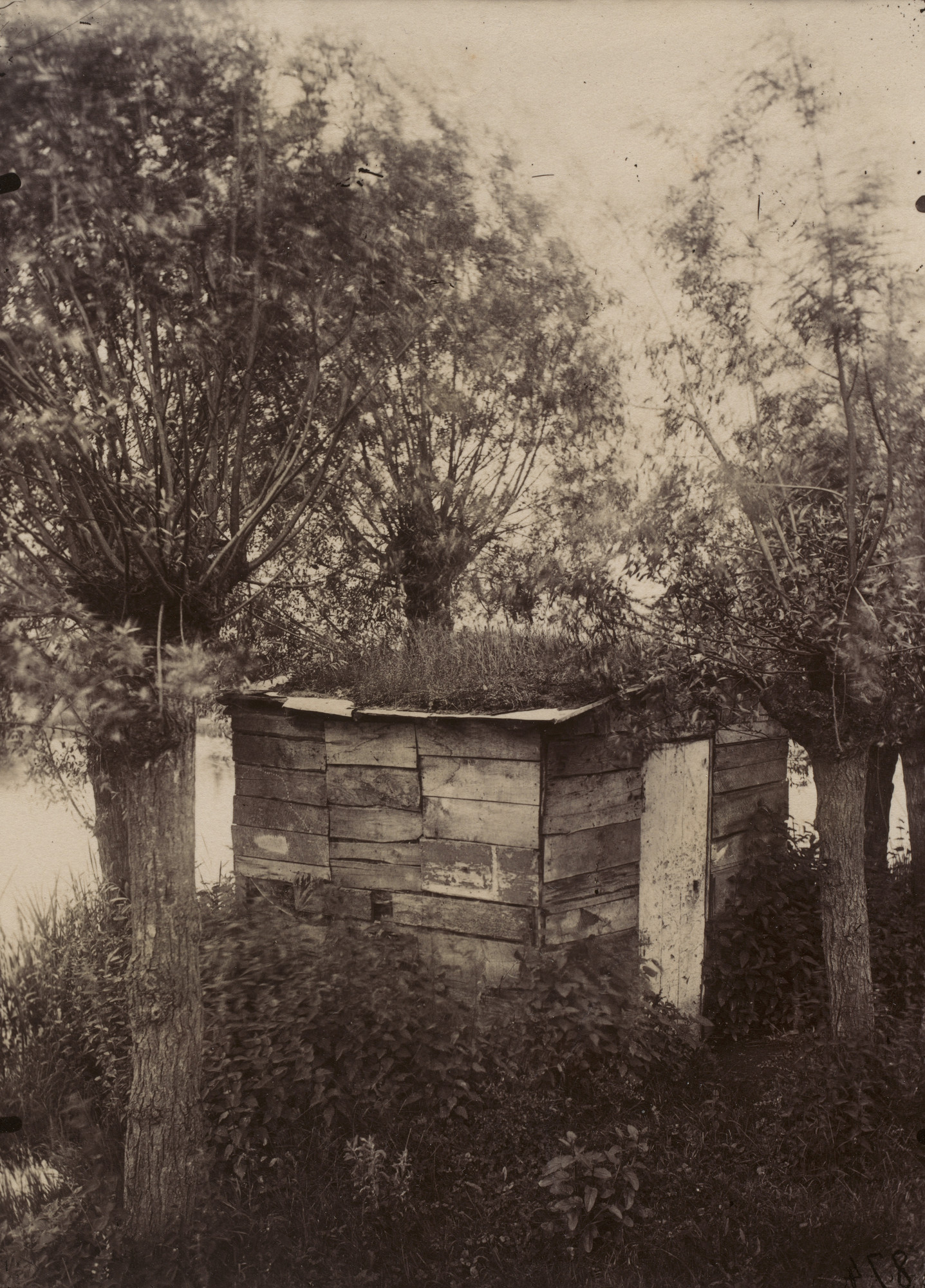 Eugène Atget. Untitled [Hut Among Willows]