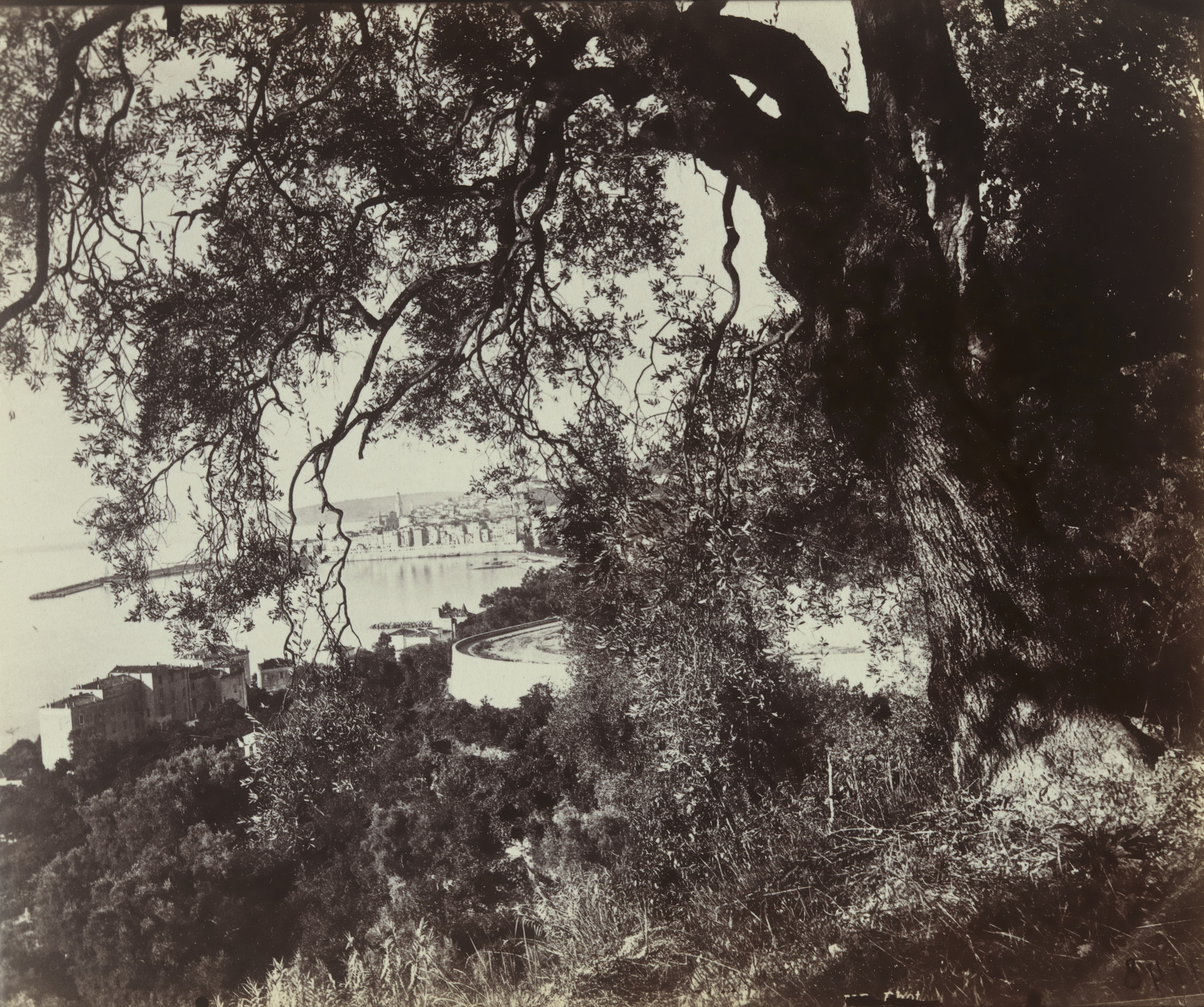 Eugène Atget. Menton