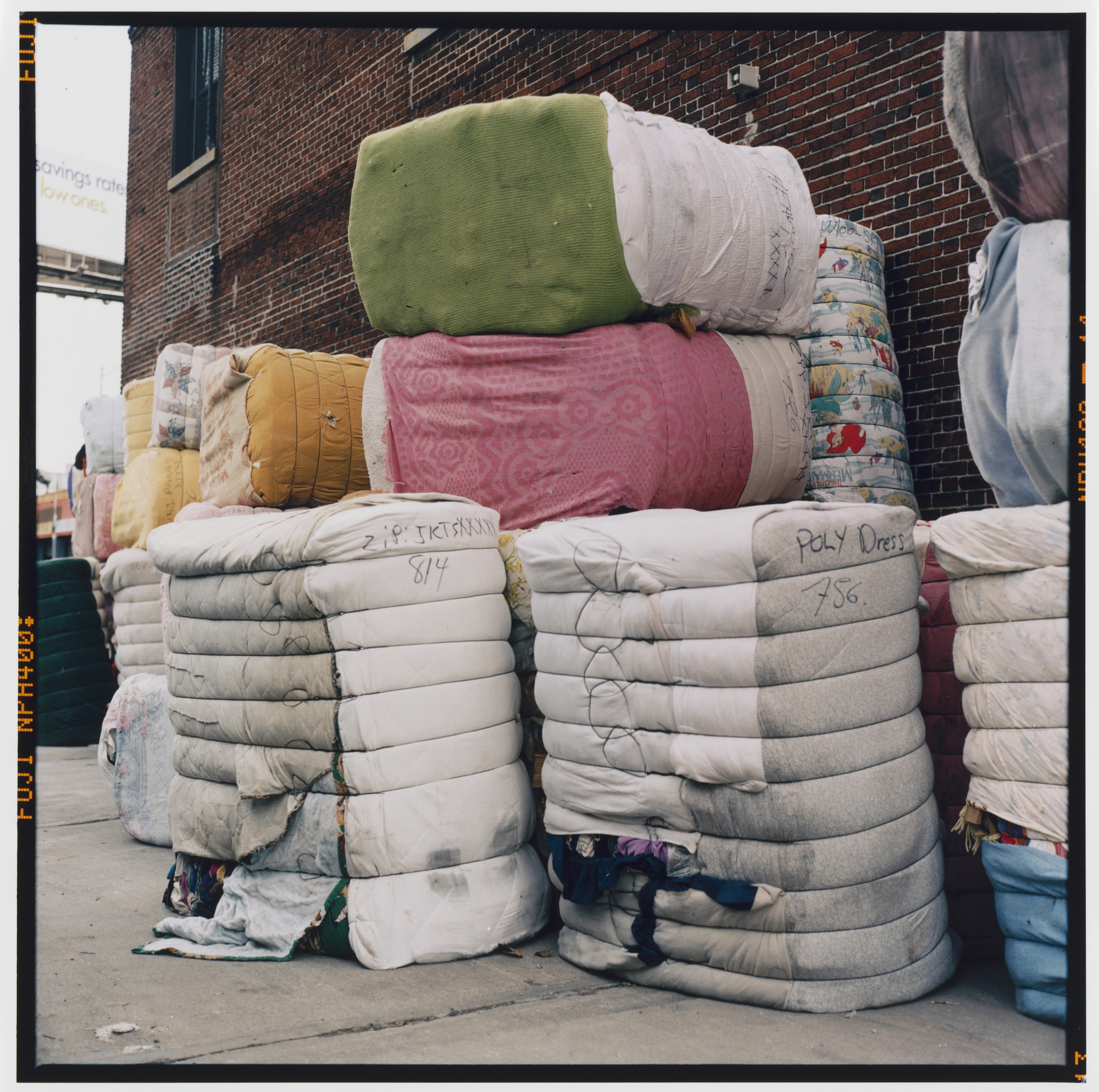 Zoe Leonard. Analogue