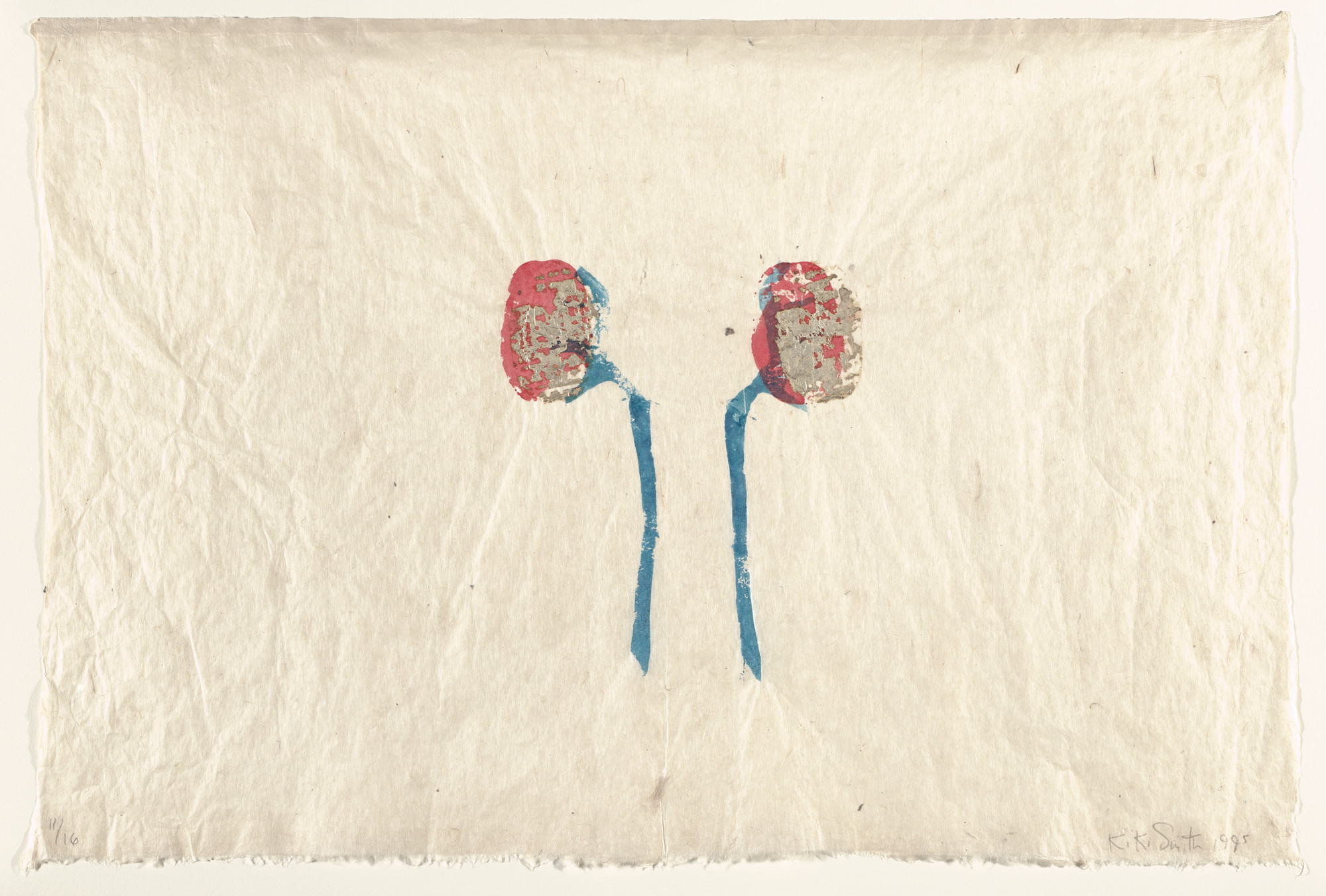 Kiki Smith. Untitled (Kidneys)