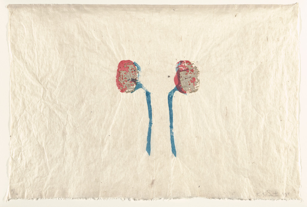 Untitled (Kidneys)