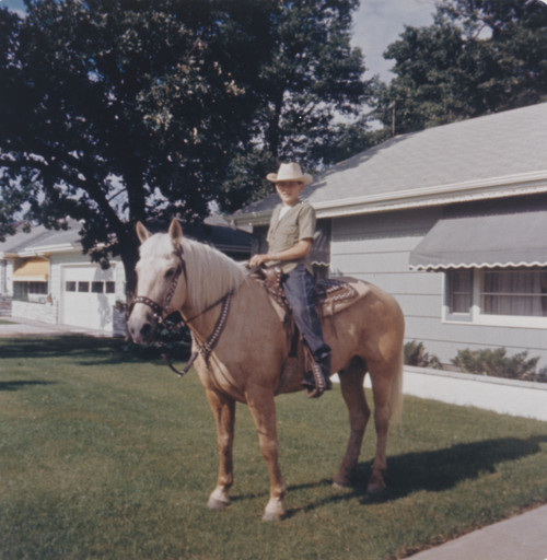 Unidentified photographer. Untitled. c. 1950