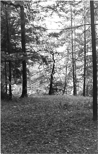 "Summer Projects," installation with wooden sticks in the forest