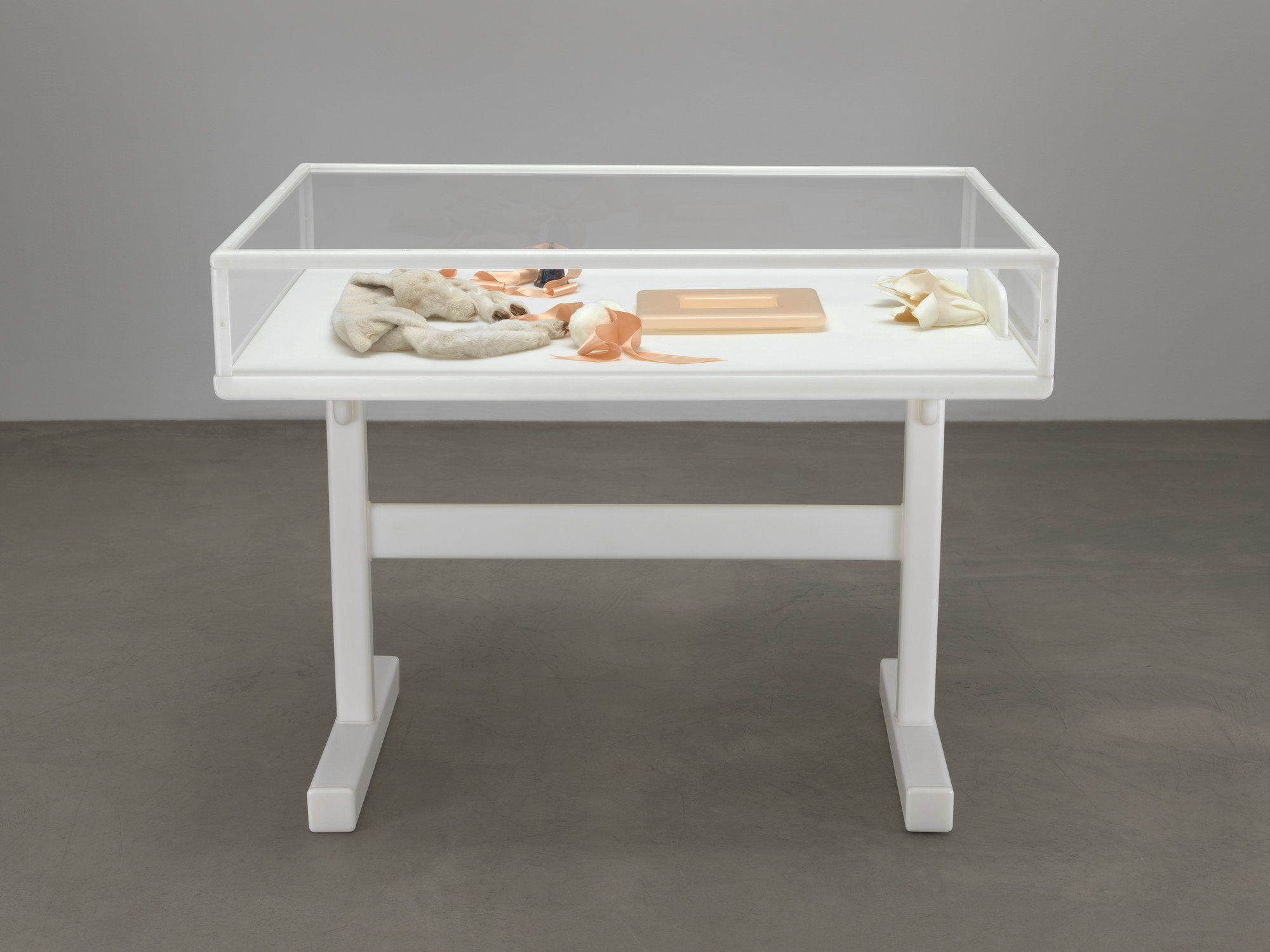 Matthew Barney. The First Degree