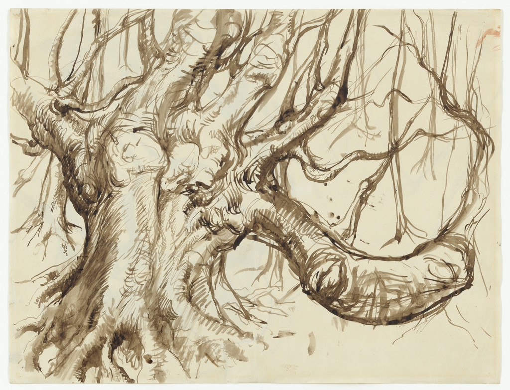 Tree in Sussex (Study for Hide-and-Seek), Pavel Tchelitchew, 1934, Colored ink on paper