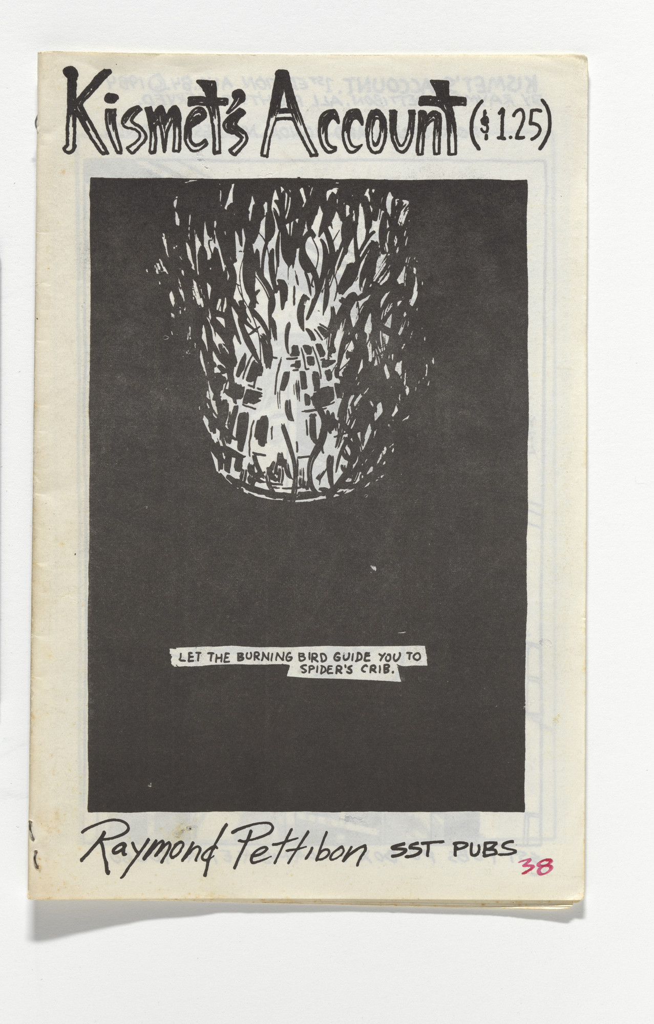 Raymond Pettibon. Kismet's Account